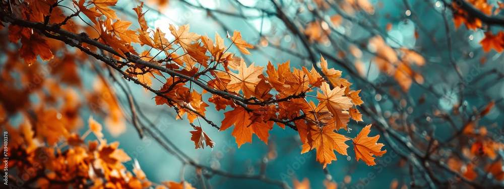 Colorful Autumn Leaves on Tree Branch Against Blue Sky with Blurred Background, Seasonal Nature Background Concept Colorful Autumn Leaves on Tree Branch Against Blue Sky with Blurred Background, Seasonal Nature Background Concept