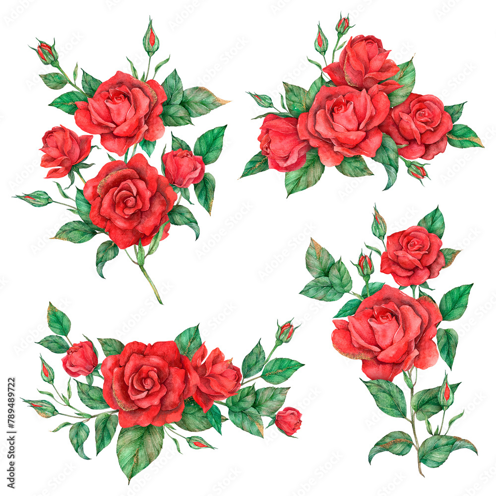 Naklejka premium Hand drawn png red rose flower set