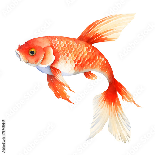 koi fish, watercolor style, illustration.