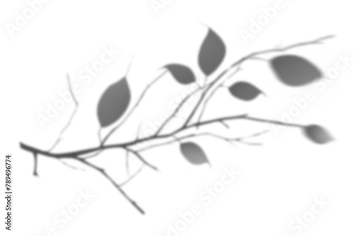 Tree branch png shadow effect  transparent background