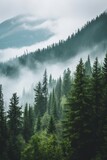 Panoramic misty mountain range on the horizon. Foggy landscape with fir forest.