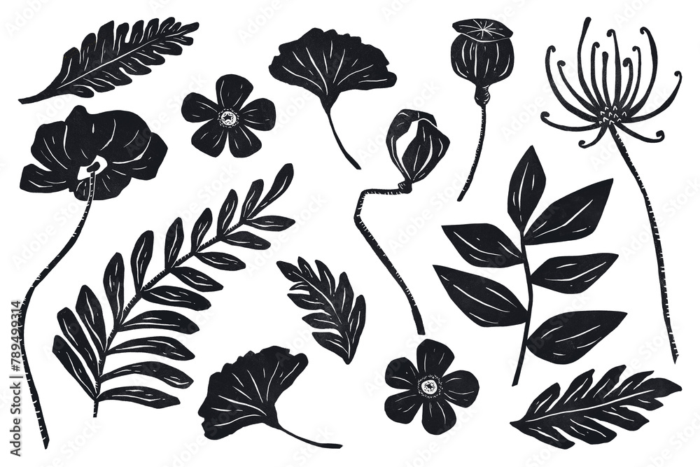 Fototapeta premium Black flowers png sticker hand drawn botanical collection