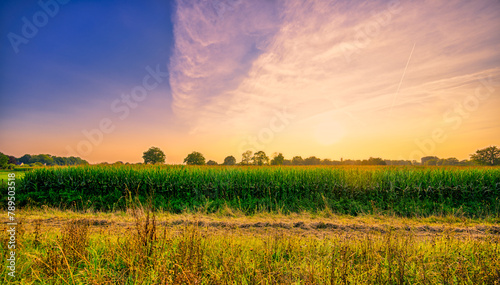 Sunset over corn growing fields near the village of Aarle-Rixtel, The Netherlands. photo