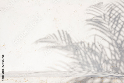 Empty aged white painted table top for product display with palm leaf shadows on abstract texture wall background