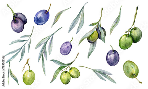 Olives Watercolor Illustration. Olive Branches Greenery Hand Painted Watercolor isolated on white background.  Perfect for olive wedding invitations, floral labels, bridal shower and greeting cards photo