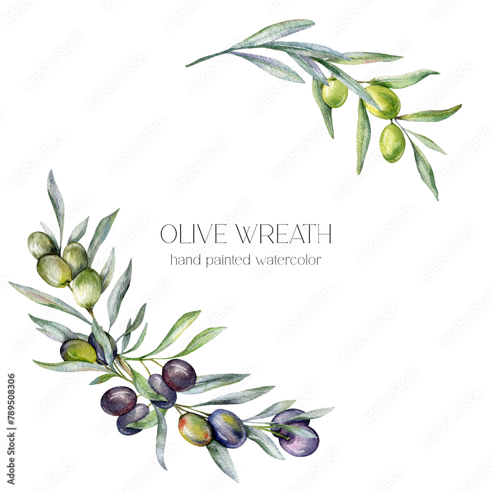 Olives Watercolor Illustration. Olive Branches Greenery Hand Painted ...