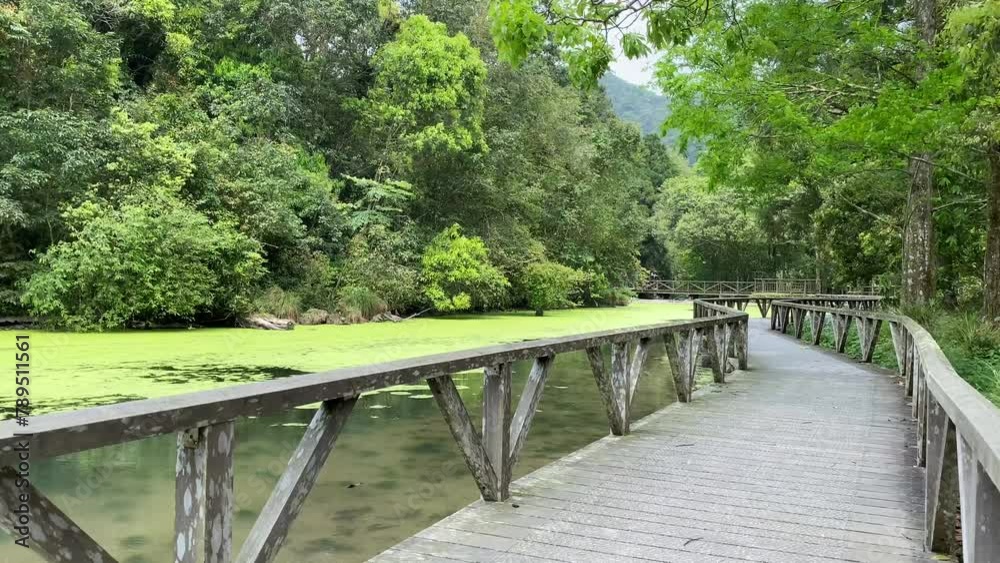 A lake in a mountain forest with a large number of aquatic plants floating on the water. The video was shot at the Fushan Botanical Garden in Taiwan. A lake in a mountain forest with a large number of aquatic plants floating on the water. The video was shot at the Fushan Botanical Garden in Taiwan.