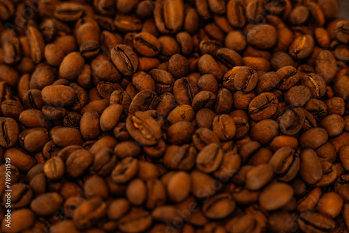 Close-up of freshly roasted coffee beans, medium-light roast. High quality photo