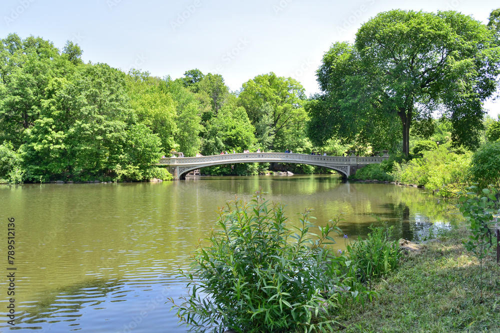 Tranquil Bridge Over The Pond in Central Park, New York