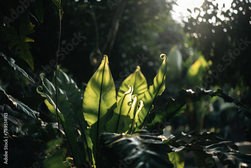 Create Zen Morning Escape: ...