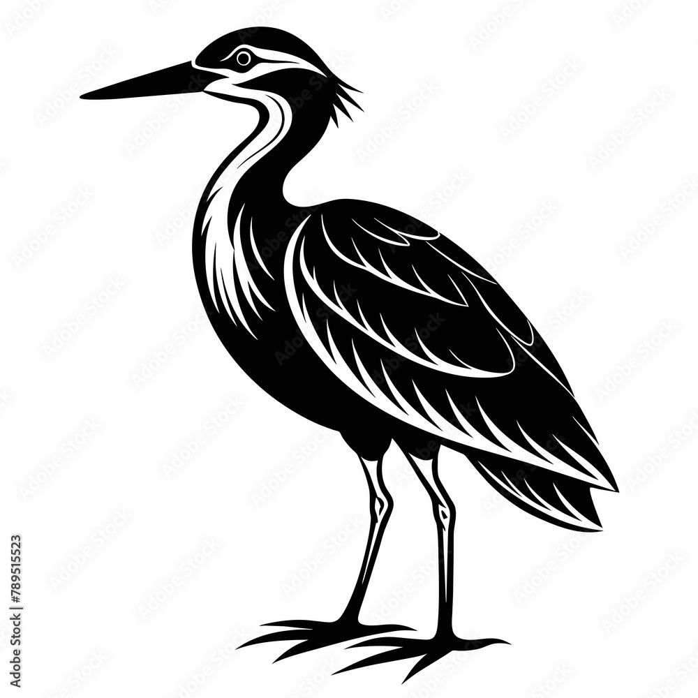 Obraz premium black crowned crane Vector 