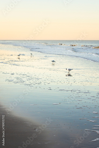 sunset at the beach