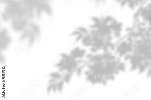 PNG tree shadow design element photo