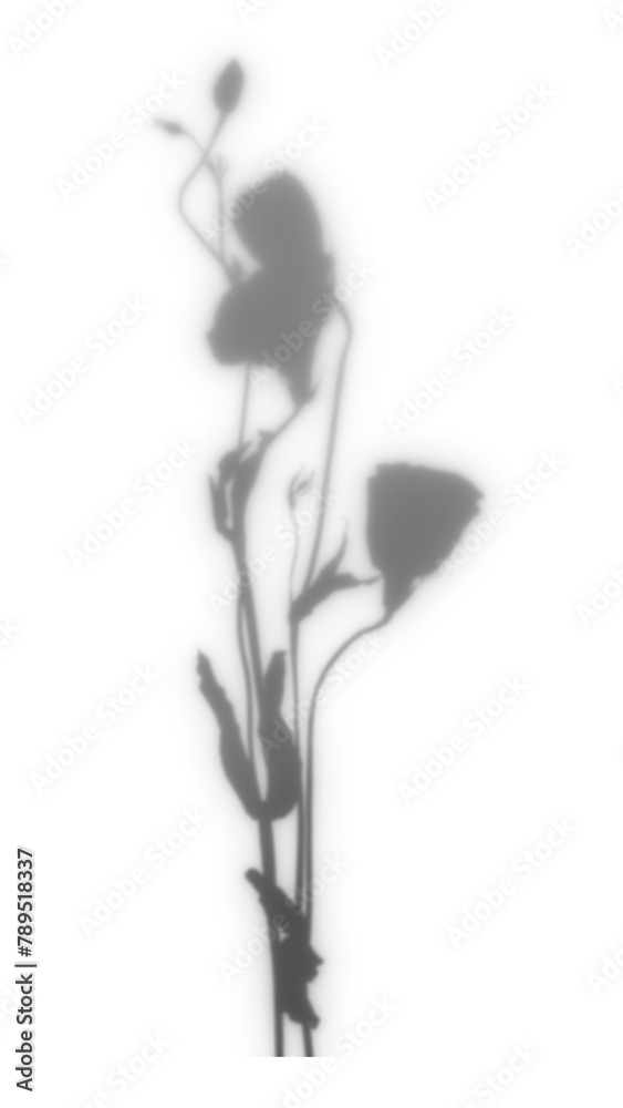PNG floral branch shadow design element