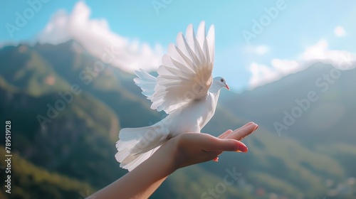 A hand releasing a white dove into the sky