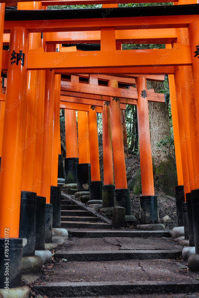 Ascending Pathway through Torii Gates at Fushimi Inari Ascending Pathway through Torii Gates at Fushimi Inari