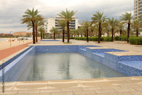 A swimming pool with palm trees © parpalac