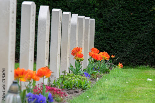 Flowers On A Row At Commonwealth War Graves At The Nieuwe Ooster Graveyard At Amsterdam The Netherlands 18-4-2020