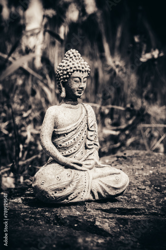  Serenity in Nature  Buddha Meditating Amidst Natural Bliss 