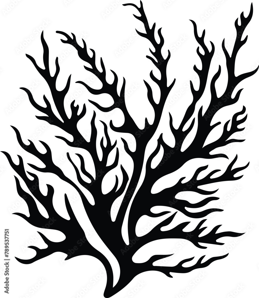 Obraz premium seaweed silhouette