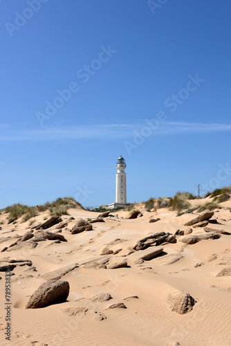 lighthouse of Trafalgar at the Atlantic coast near Cadiz