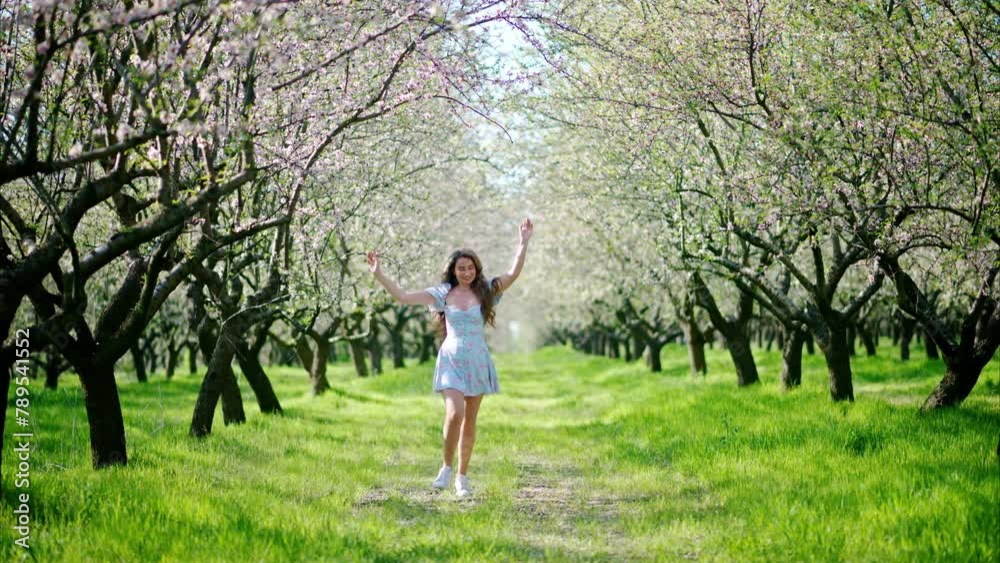 Brunette woman in a blue dress running through a field of blooming almond trees Brunette woman in a blue dress running through a field of blooming almond trees