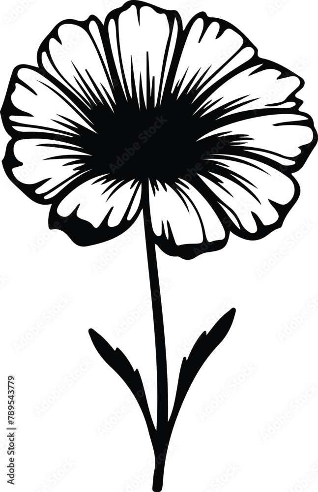 chicory silhouette chicory silhouette