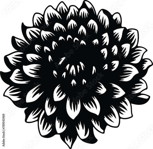 chrysanthemum silhouette