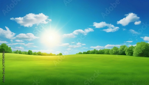 Beautiful summer natural landscape. Green grass in meadow on background blue sky with clouds and sun on warm summer day. Bright colorful image of nature