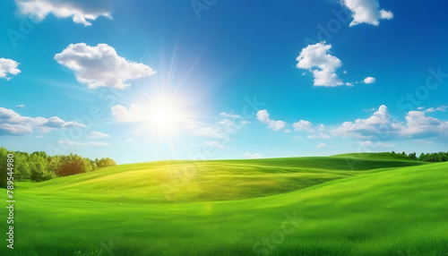 Beautiful summer natural landscape. Green grass in meadow on background blue sky with clouds and sun on warm summer day. Bright colorful image of nature