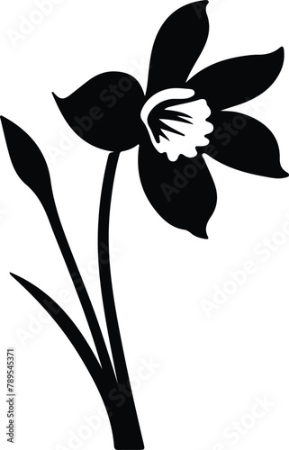 daffodil silhouette