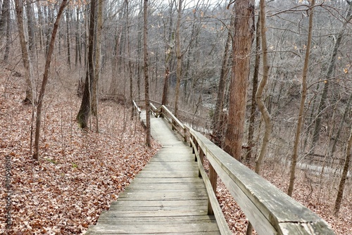 The old wood boardwalk trail in the forest.