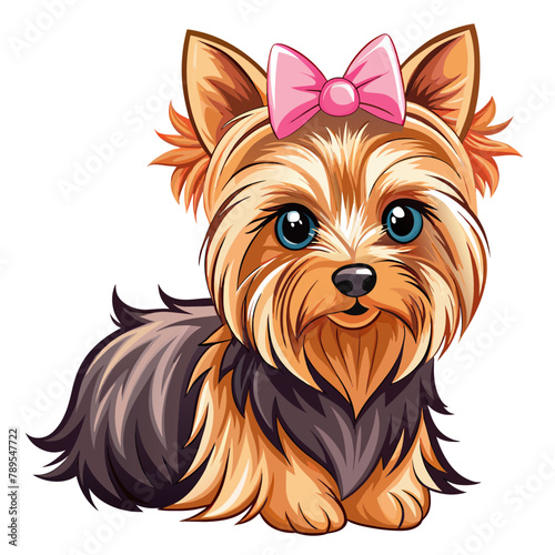 yorkshire terrier puppy