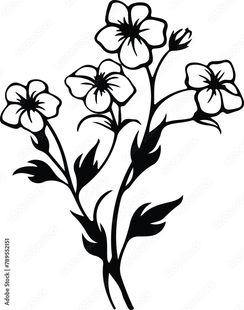 phlox silhouette