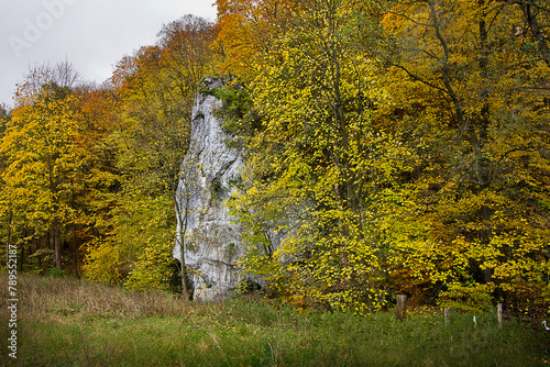 Autumn landscape rock in a yellow autumn forest photo