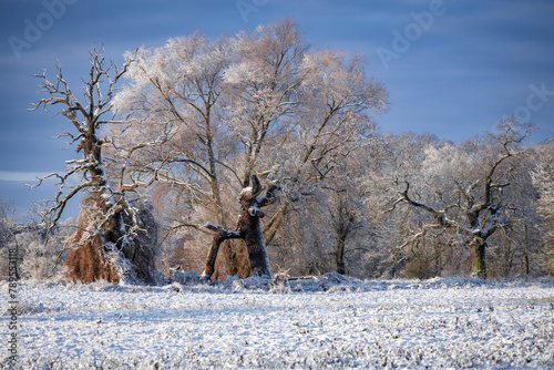 Panel kuchenny z motywem Rogalin cztery pory roku