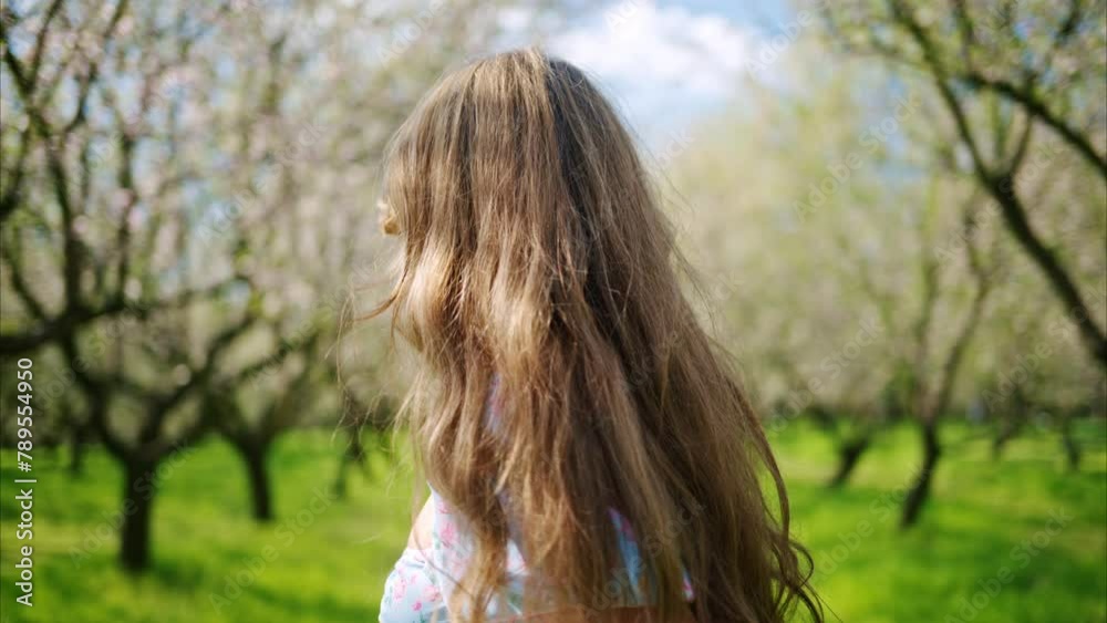 Brunette woman in a blue dress spinning around in a field of blooming almond trees Brunette woman in a blue dress spinning around in a field of blooming almond trees