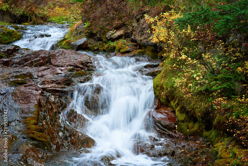 Small mountain creek with autumn yellow trees, foliage, and rocks in a forest near Mount Hood Meadows, Oregon, USA.