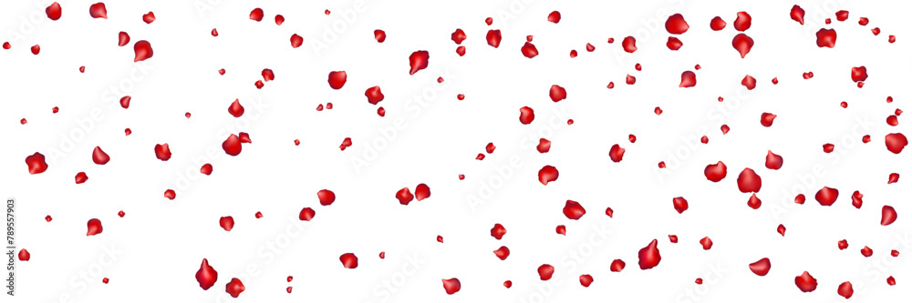 Flying red petals transparent background. Beautiful floral overlay with lots of rose petals.