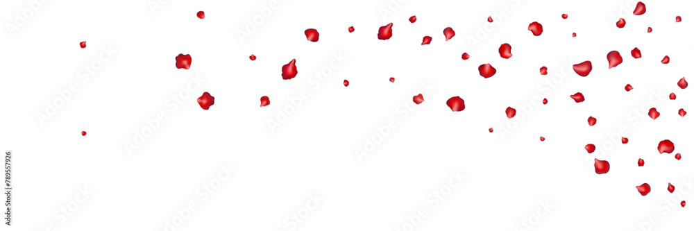 Flying red petals transparent background. Beautiful floral overlay with lots of rose petals.