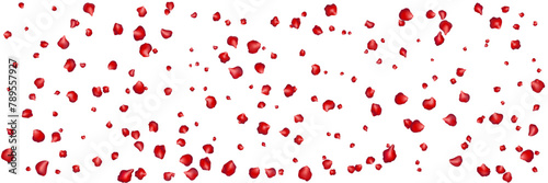Flying red petals transparent background. Beautiful floral overlay with lots of rose petals.