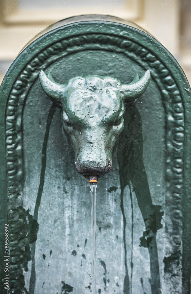 head of a bull Fountain
