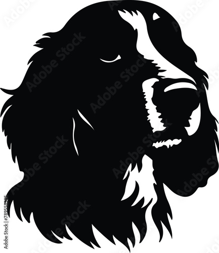 Wallpaper Mural American Water Spaniel silhouette Torontodigital.ca