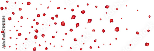Flying red petals transparent background. Beautiful floral overlay with lots of rose petals.
