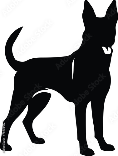 Belgian Malinois silhouette