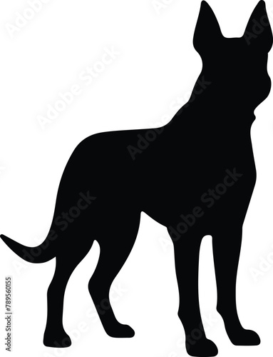 Belgian Malinois silhouette