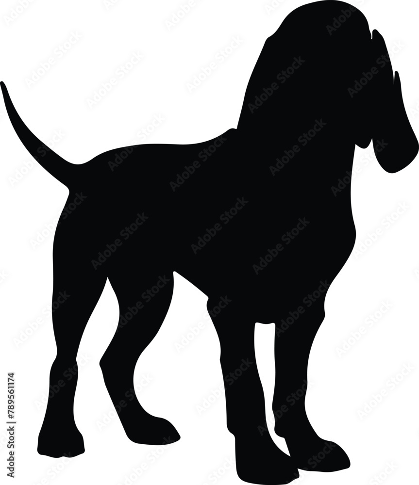 Bloodhound silhouette