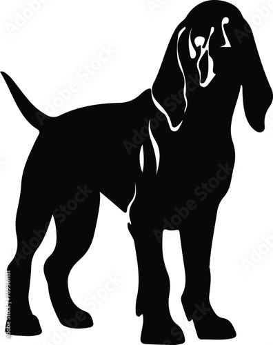 Bloodhound silhouette
