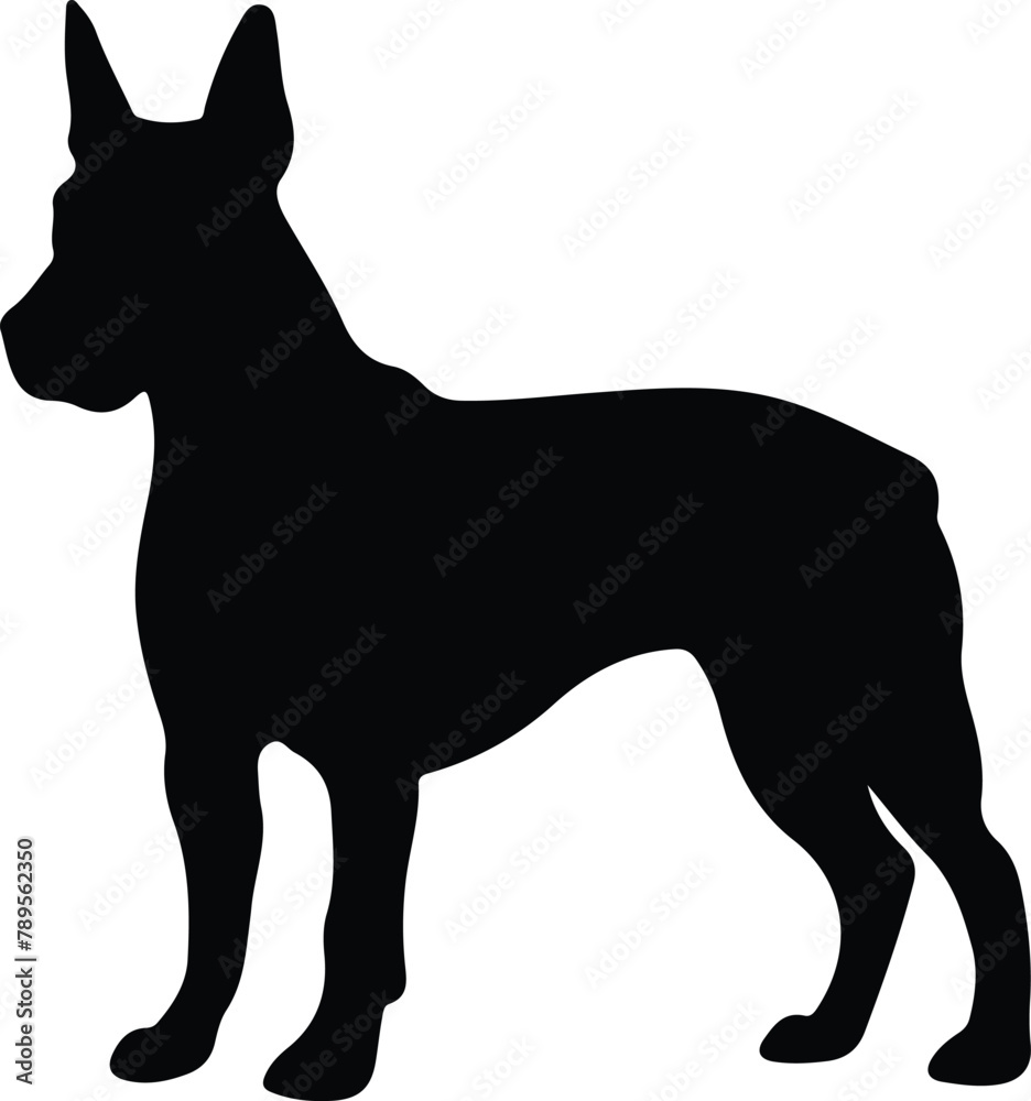 Bull Terrier silhouette