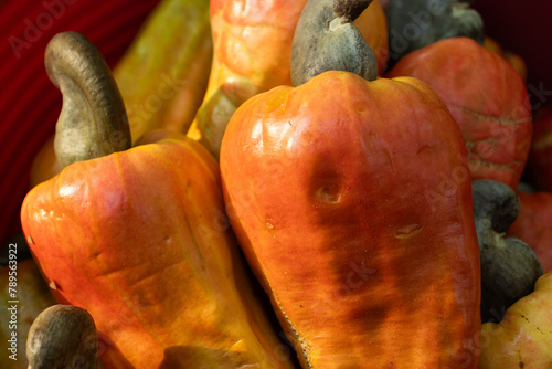 Frutos de Anacardium occidentale (Nuez de la India, Marañón, Cajú) en Campeche, México photo